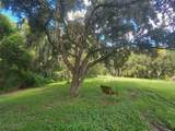 12016 Bullfrog Creek Road - Photo 9