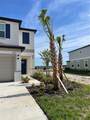 32077 Powderpuff Mimosa Drive - Photo 38