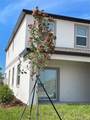 32077 Powderpuff Mimosa Drive - Photo 40