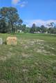  Pointe Alexis Drive - Photo 8