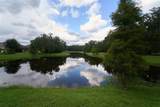 17305 Chelsea Downs Circle - Photo 77
