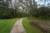 17305 Chelsea Downs Circle - Photo 79