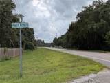 17189 Pasco Acres Drive - Photo 13