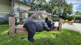 72 Roan Road - Photo 6
