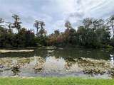 12026 Boynton Lane - Photo 36