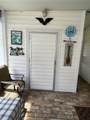35 Thatch Palm Street - Photo 3