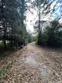 17025 Dalberg Drive - Photo 10