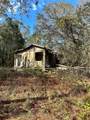 17025 Dalberg Drive - Photo 62