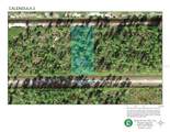  Calendula Drive - Photo 1