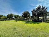 4644 Rolling Green Drive - Photo 69