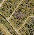 3 Boskoop Road - Photo 6