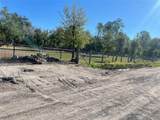 2609 Forestland Drive - Photo 2