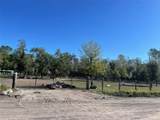 2609 Forestland Drive - Photo 3