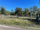 2609 Forestland Drive - Photo 4