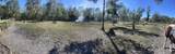 2609 Forestland Drive - Photo 9