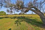 1148 Emerald Hill Way - Photo 33