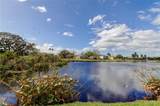 5220 Butterfly Shell Drive - Photo 51