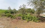 2904 3RD Street - Photo 1