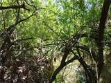  Manati Avenue - Photo 5