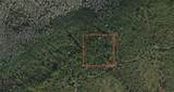  Holopaw Groves Road - Photo 1