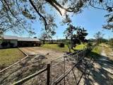 19433 County Road 349 - Photo 2