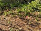 7897 Stuart Lane - Photo 7