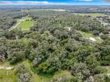 16206 Boyette Road - Photo 5