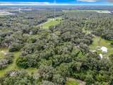 16206 Boyette Road - Photo 6