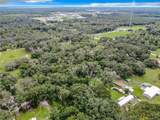 16206 Boyette Road - Photo 8