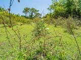 10995 Roseland Road - Photo 21