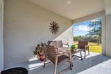 31371 Cabana Rye Avenue - Photo 41
