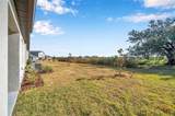 31371 Cabana Rye Avenue - Photo 43