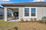 31371 Cabana Rye Avenue - Photo 44