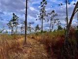  Bethlehem Road - Photo 21