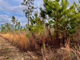  Bethlehem Road - Photo 32