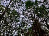  Bethlehem Road - Photo 40