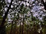  Bethlehem Road - Photo 41