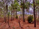  Bethlehem Road - Photo 42