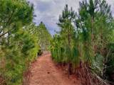  Bethlehem Road - Photo 50