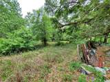  Ringwalt Drive - Photo 24