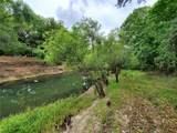  Ringwalt Drive - Photo 4