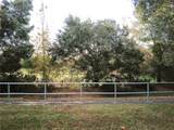 37715 Aaralyn Road - Photo 24