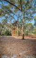 514 Ryans Woods Lane - Photo 39