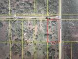 16221 300TH Street - Photo 2