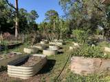 37210 Bermont Road - Photo 17
