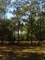 00 Tamarac Rd - Photo 9