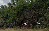18082 Wolbrette Circle - Photo 4
