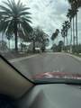 18229 Port Side Street - Photo 16