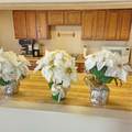 6104 Palma Del Mar Boulevard - Photo 35