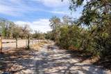 12404 Dolquieb Lane - Photo 47